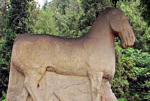 ������̤��ū