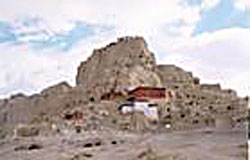 ���ְ׳�̨�ų���ַ