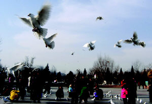 ������ɽ��԰