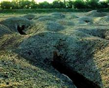 �����ɲ����˹�ĹȺ