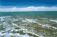 ���ݾ����