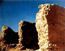 �����¥���ų���ַ