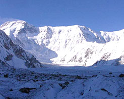 ��������ľ����