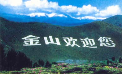 ����̩��������