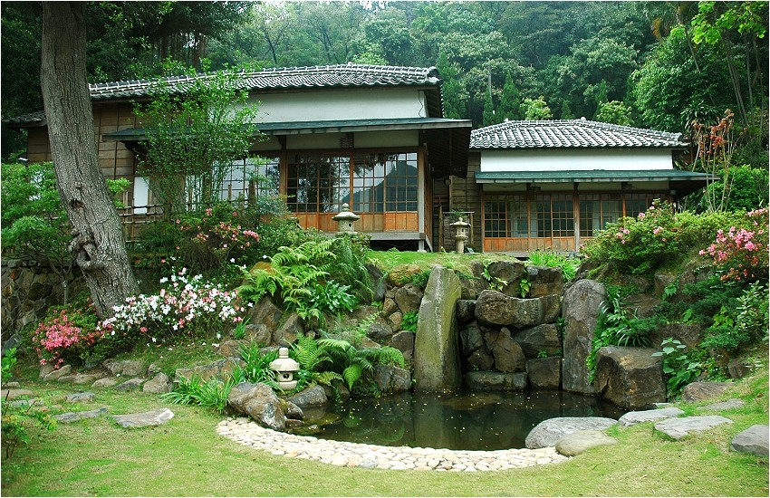 ̨�山Ͷ�����