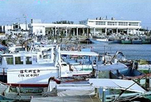 ����������԰