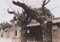 �����山��ַ