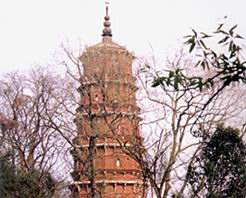 ������������