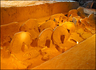 ����Ͽ뽹�����Ĺ��