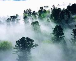 ������������ɽ������