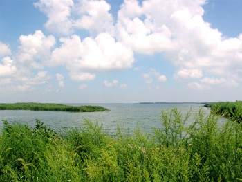 �ں�����ʪ�ع�԰