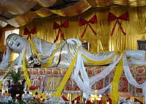 �����һ�����Է�