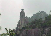 �ع�����