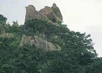 �𼦽�����