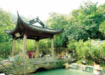 �����˾�