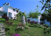 �´���������