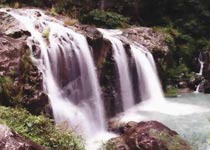 ���ɝT���ƺ�����