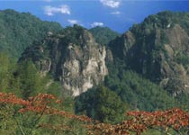 ͭ��ɽɭ�ֹ�԰