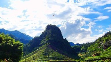 ����¢����