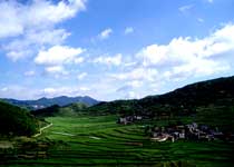 ����ɽ����