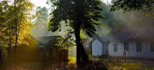 ��ƺũ����