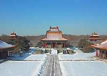 �����꣨���꣩