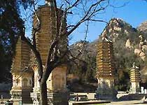 �ɱ��ųǡ��ɱ���