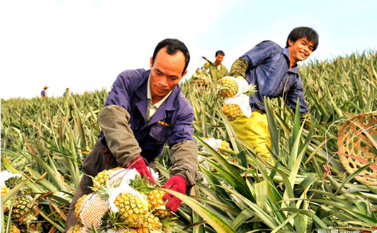 һ��ˮ����һ�������������Ļ�����Ԫ����