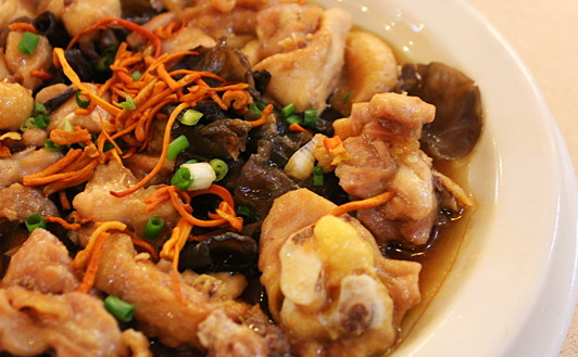 ������ơ�Ƽ�