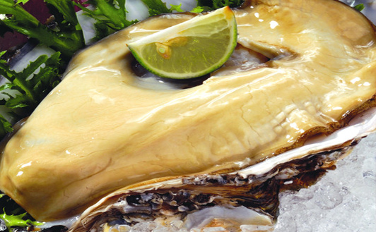 ���ٹ����