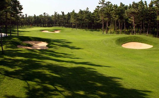 ��ɽ���ֹ�