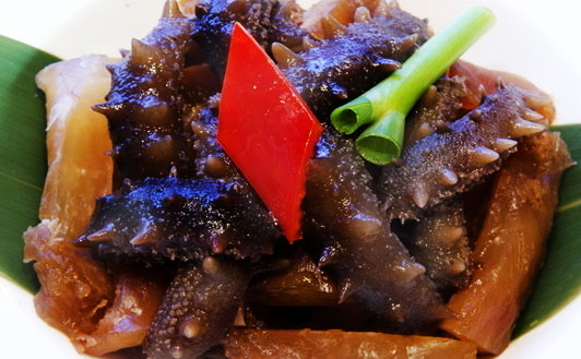 ɣ������