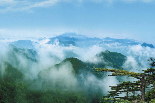 �»�����ɽ