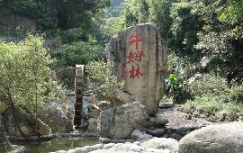 Ȫ������ţķ����̬������Ԥ��