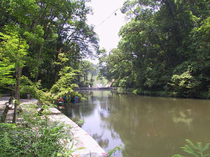 ����������Ԥ��