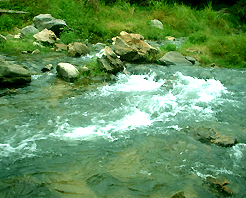 ��������ϪԤ��