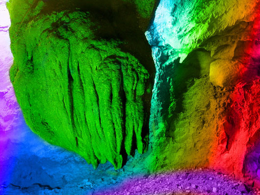 ����������