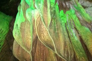 ���������񻪶�Ԥ��