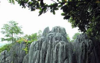 ����ʯ��