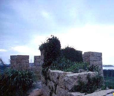 �����ų����ɶ��ʹ�̨