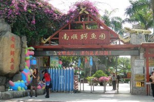 ������˳����԰Ԥ��