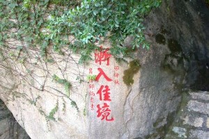 ���Ű�¹��Ԥ��