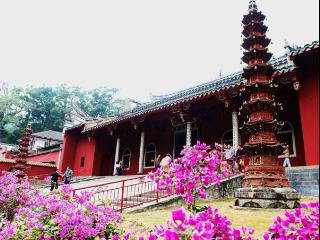 ����ǧ������