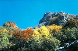 ƽ�Ƚ����س���