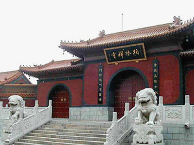 ���ǰ�����