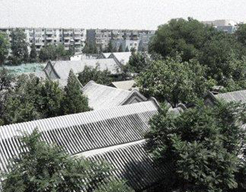 ����䭱��ո�