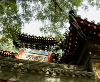 ����������