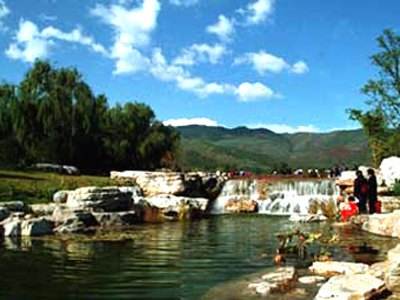 �й�ҩ��ֲ��԰