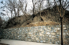 ������������ַ