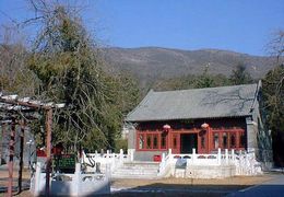 ��ͷ��Բ����ʦ��